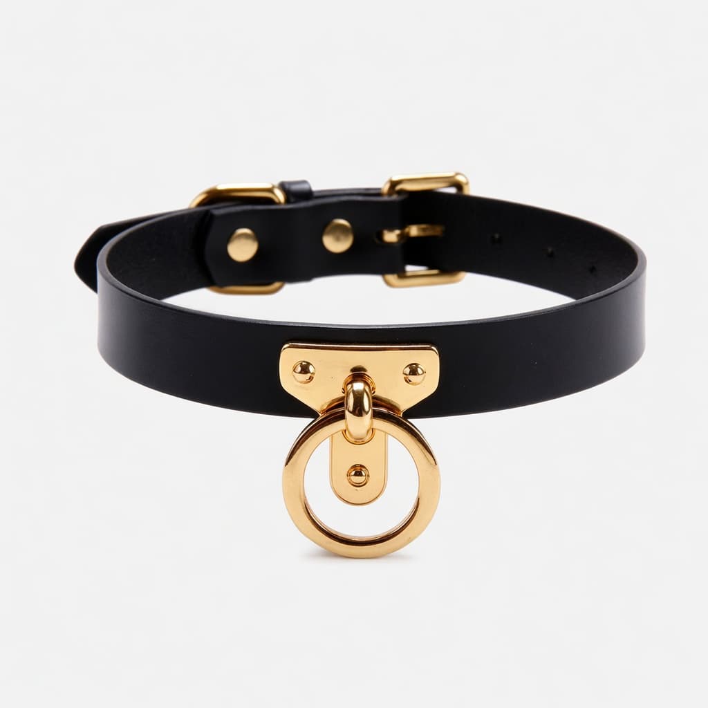 Signature O-ring Collar — black leather, gold plate, hanging O-ring